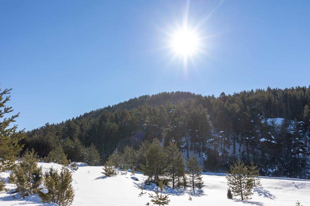 Vila Hanovi Zabljak Buitenkant foto